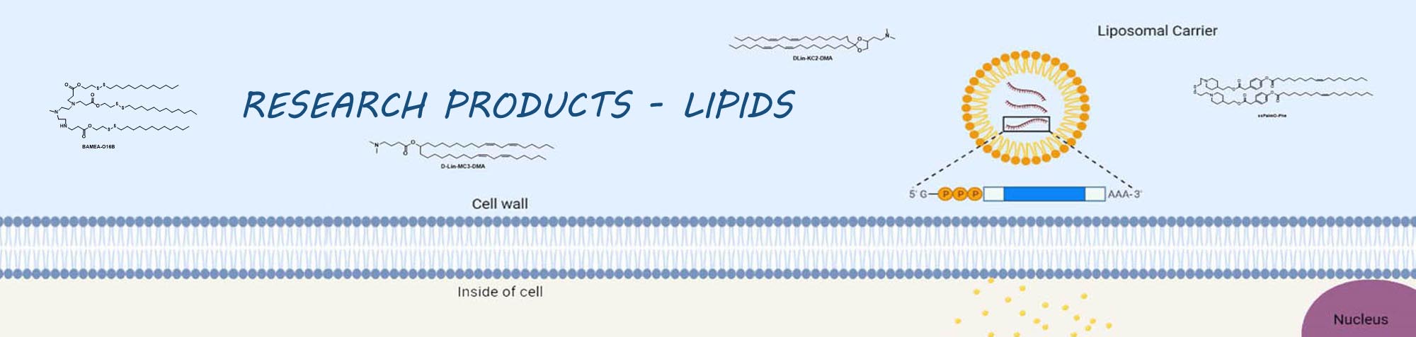 LIPIDS